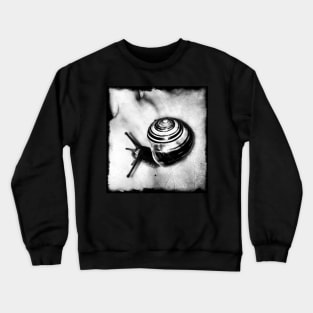 Snail Crewneck Sweatshirt